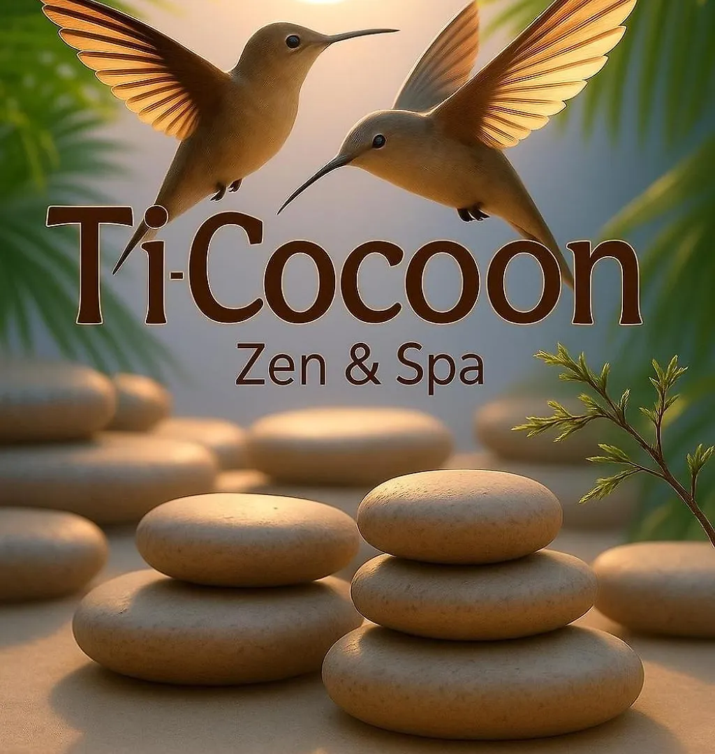 Apartmán Ti Cocoon Zen & Spa Le Moule